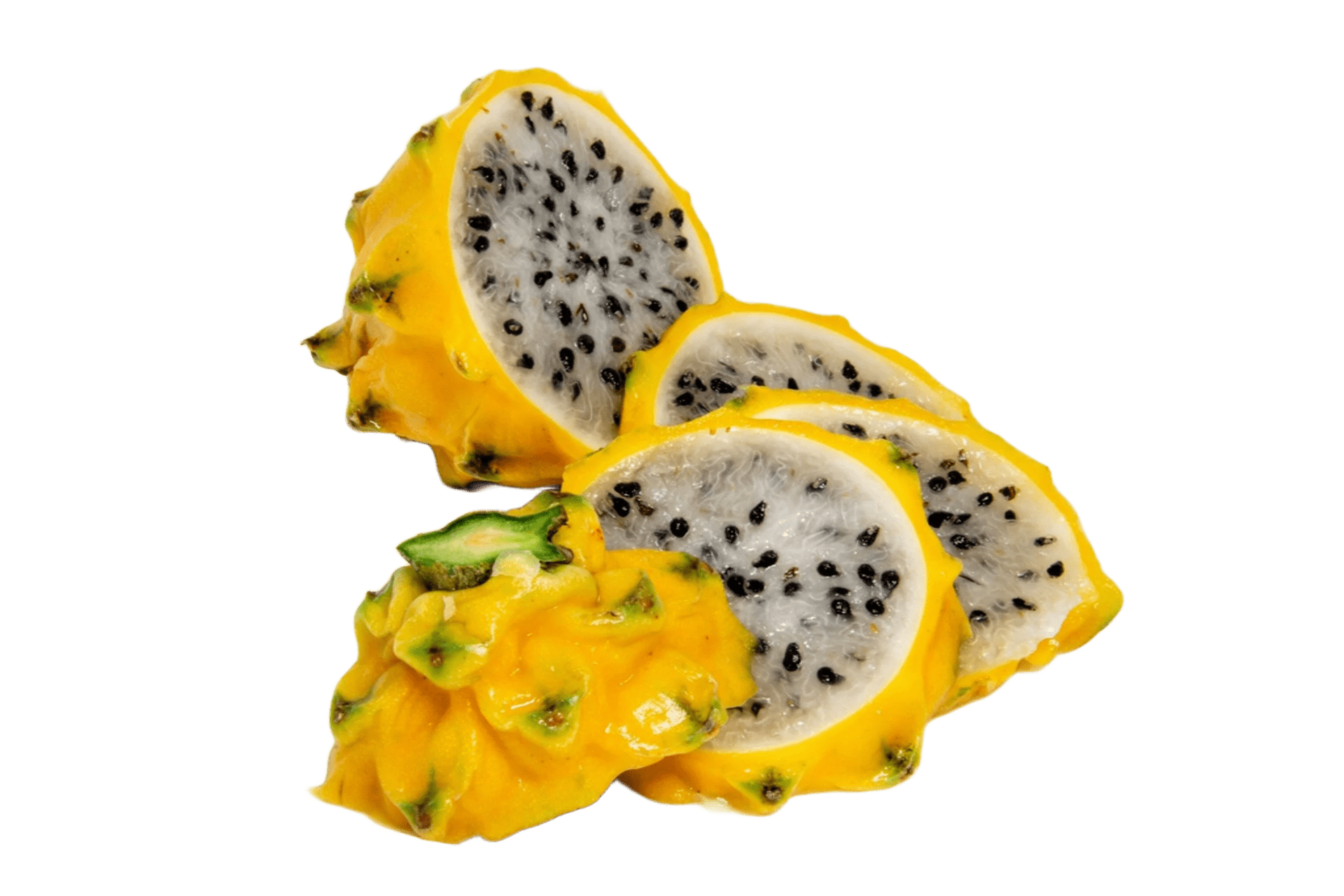 Dragon Seedling & Cuttings