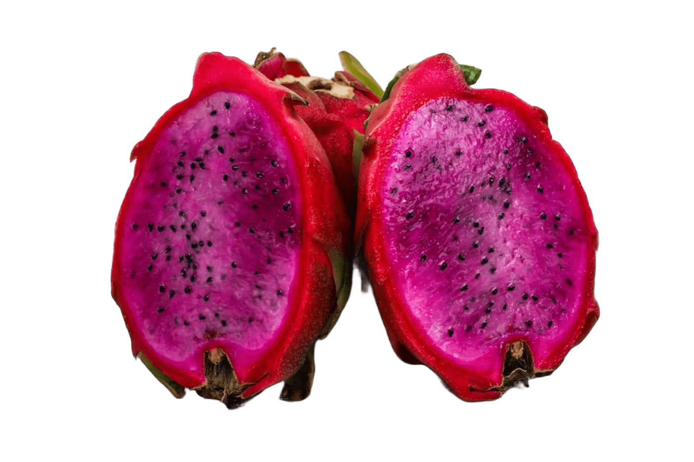 Dragon Seedling & Cuttings